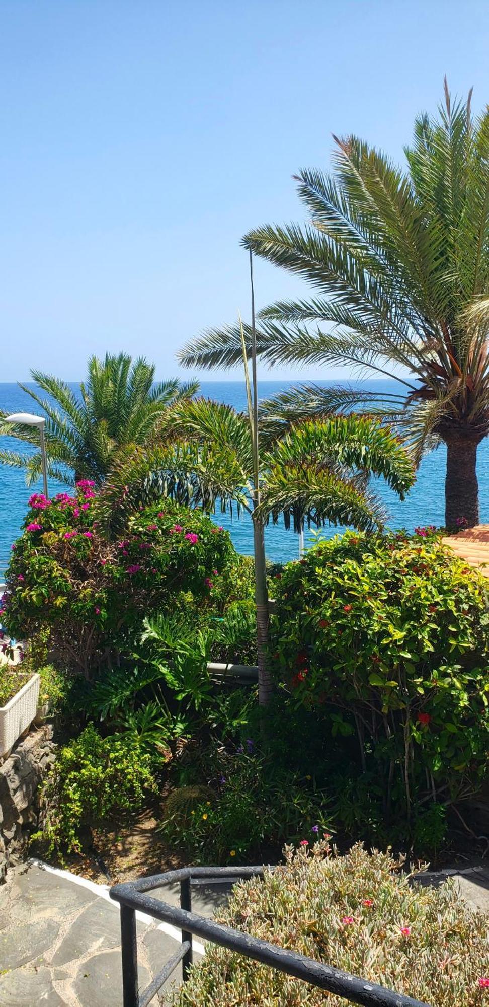 Bungalow Uno - Front Line Of Ocean San Bartolomé Eksteriør bilde